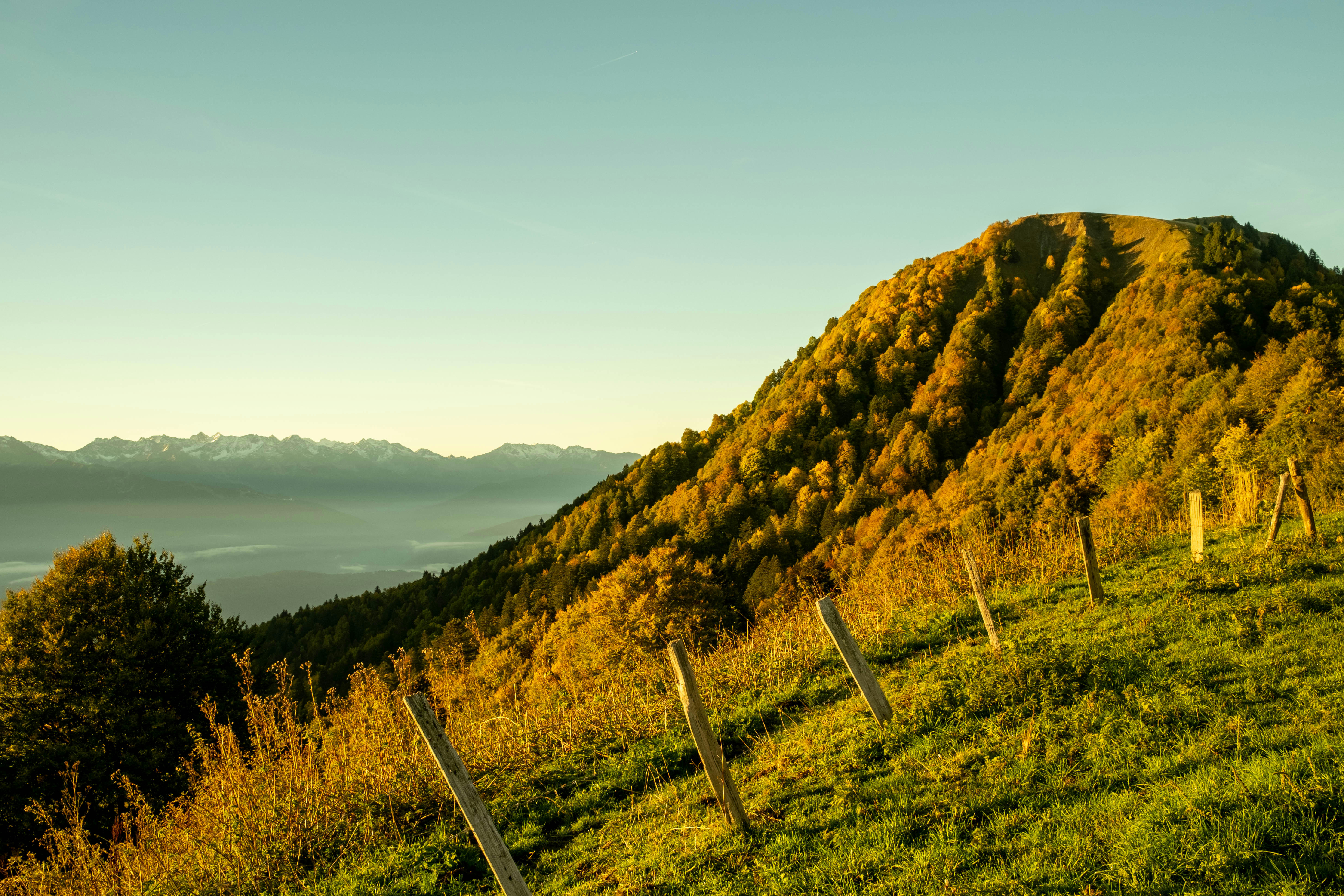 J-2 - Start of the rando